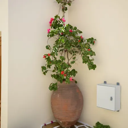 Ξενοδοχείο με διαμερίσματα Margo 4*