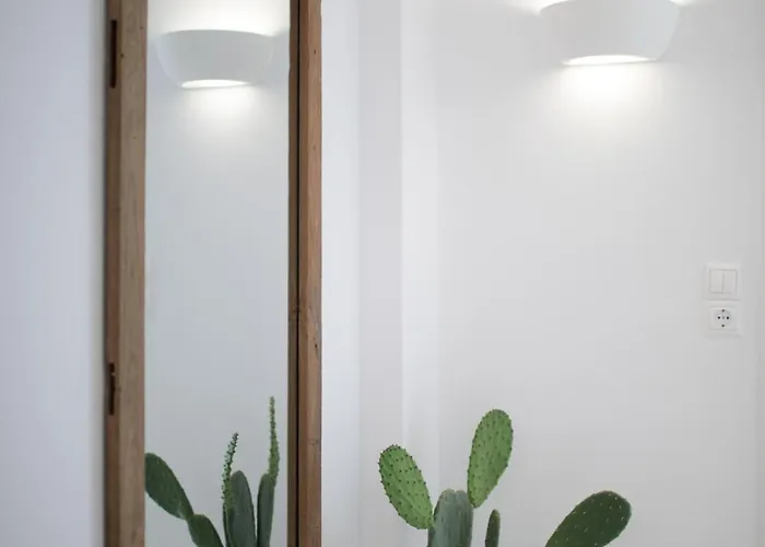 公寓式酒店 马戈一室公寓酒店 Naxos City