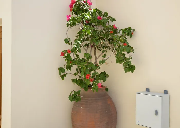 马戈一室公寓酒店 4* Naxos City